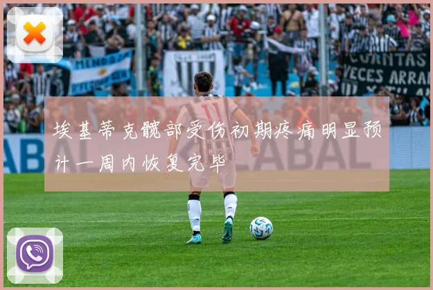 埃基蒂克髋部受伤初期疼痛明显预计一周内恢复完毕
