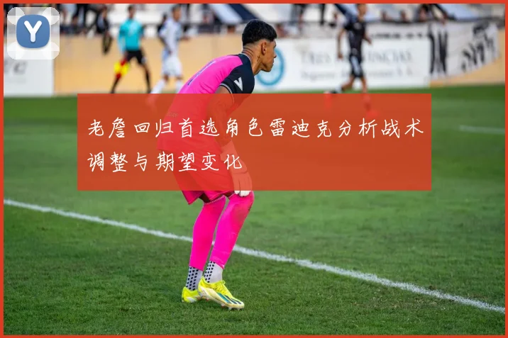 老詹回归首选角色雷迪克分析战术调整与期望变化